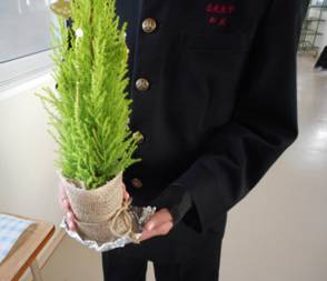 PTA花 画像1