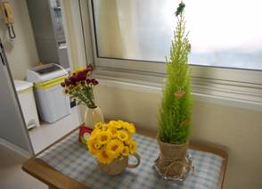 PTA花 画像2