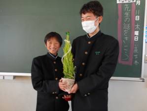 PTA花 画像3