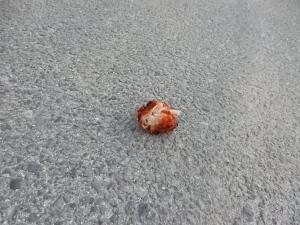 落とし物