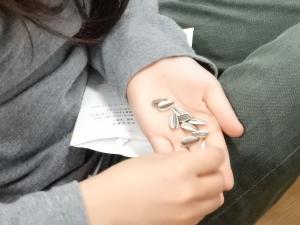 ひまわりの種
