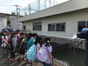 浄水場