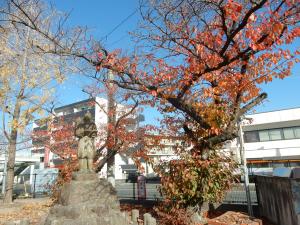 桜の木