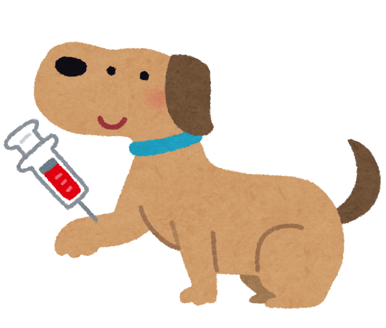 注射する犬