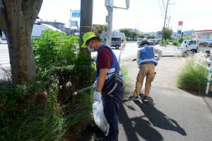 美化作業の様子