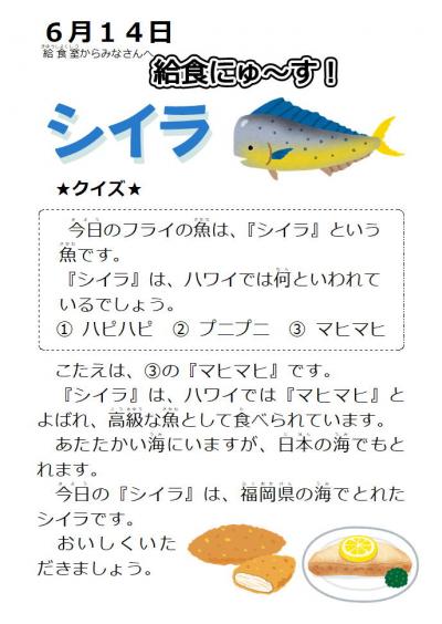 061402