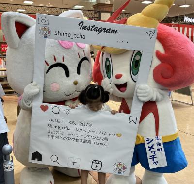 追い出し猫さくらちゃんとシメッチャ