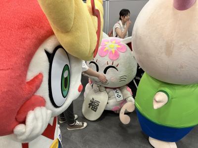 いたずらする追い出し猫さくらちゃん
