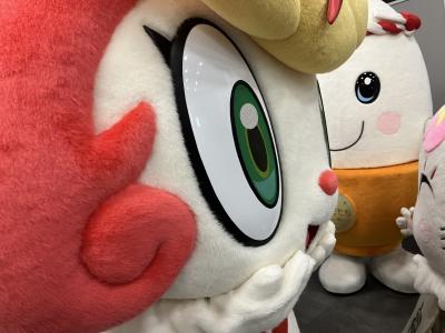アップのシメッチャ