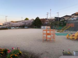 桜の園庭