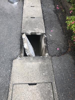 即効損傷