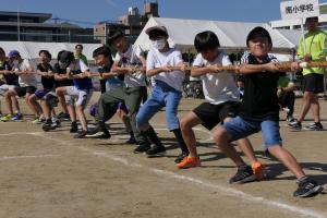 小学校対抗綱引き