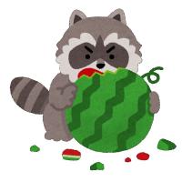 アライグマイラスト