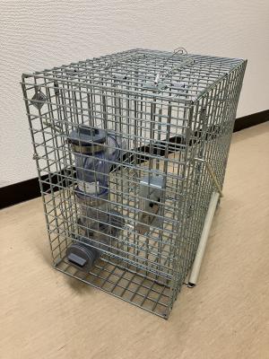 箱わな