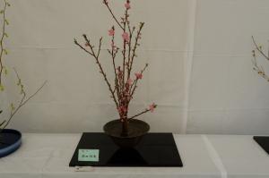 生け花写真5