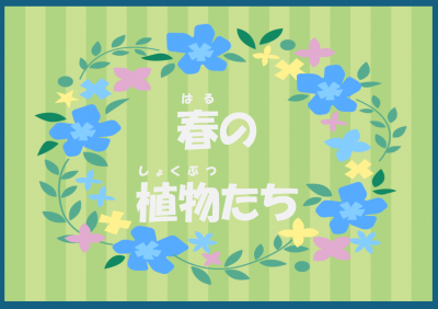春の植物たち