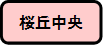 桜丘中央