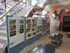 展示3