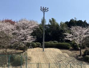 総合公園野球場施設整備工事