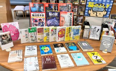 一般写真1-1