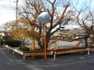 犬の尿で腐食したミラーポール1