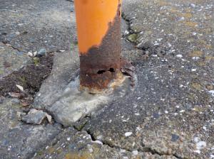 犬の尿で腐食したミラーポール3