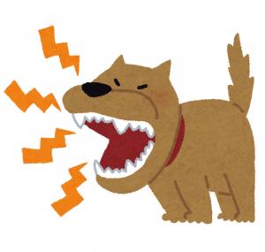 吠える犬