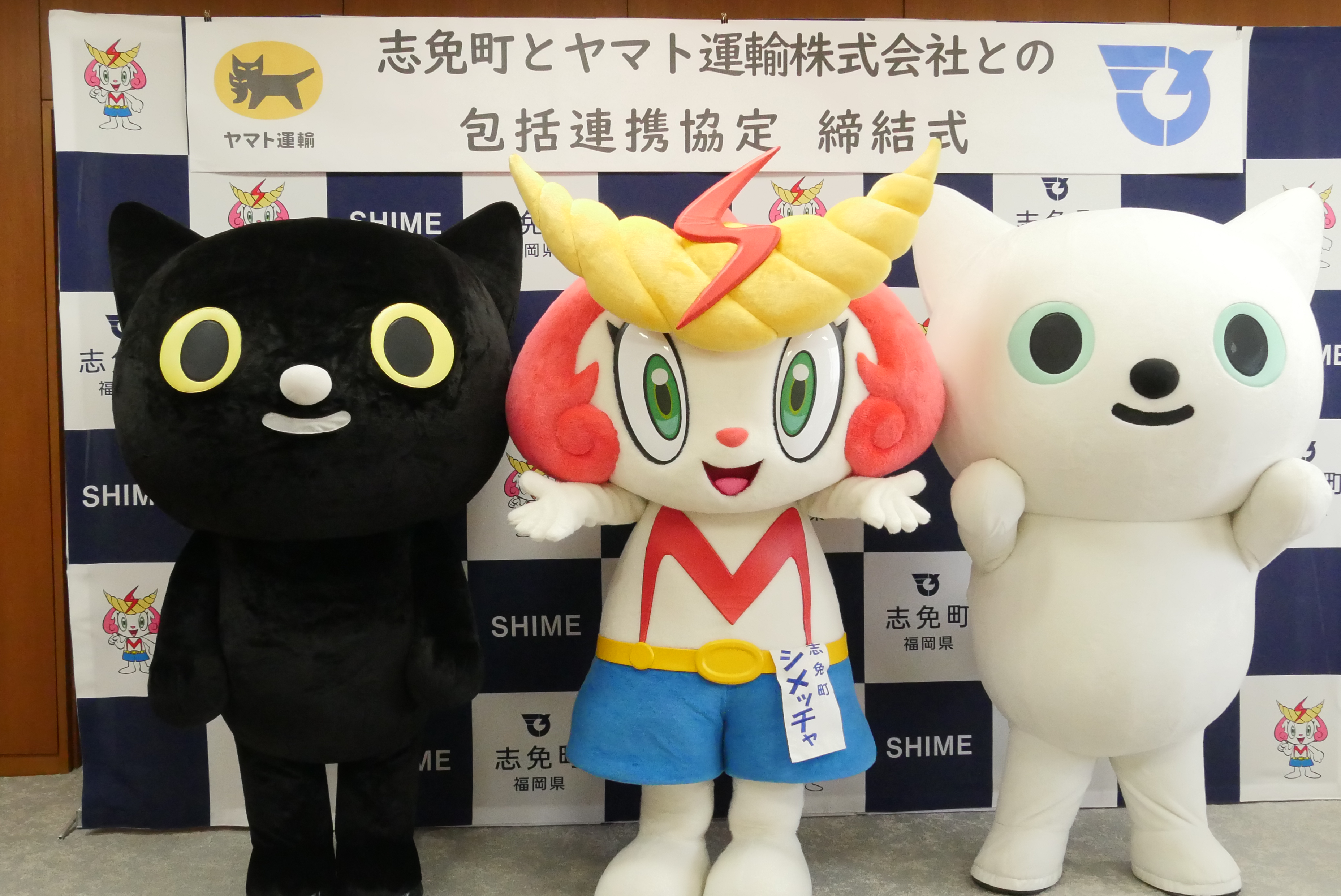 クロネコ、シロネコ、シメッチャ