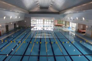 メインプール