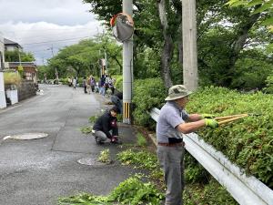 町内一斉清掃 写真