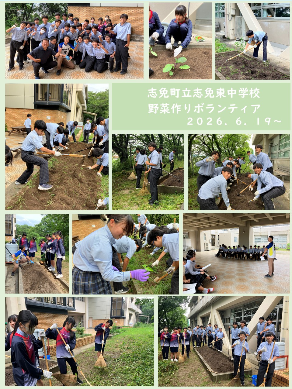 野菜つくりボランティアの様子