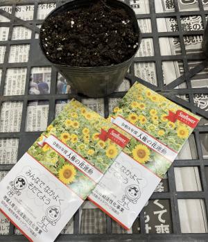 たね