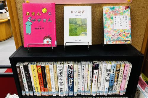 文学写真1