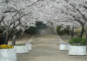 福祉公園入り口