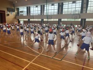 dansu1